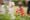 Toddler Group- Les Bambins